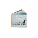 Coffret Montessori Éveil 24 À 36 Mois