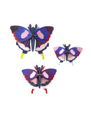 Swallowtail Butterflies - Set De 3