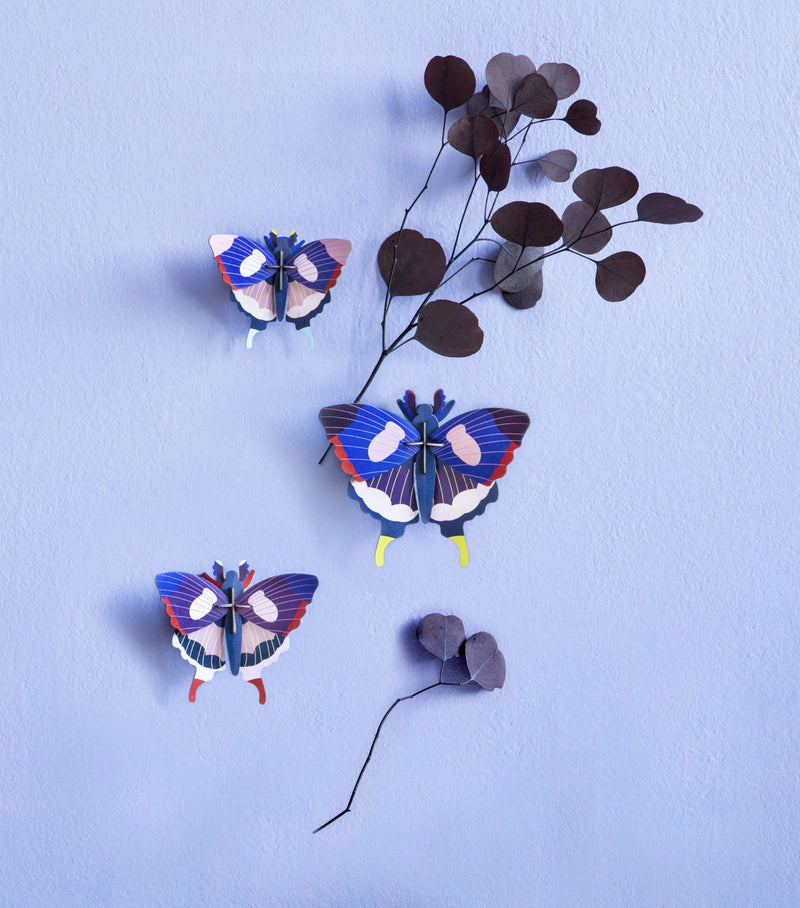 Swallowtail Butterflies - Set De 3