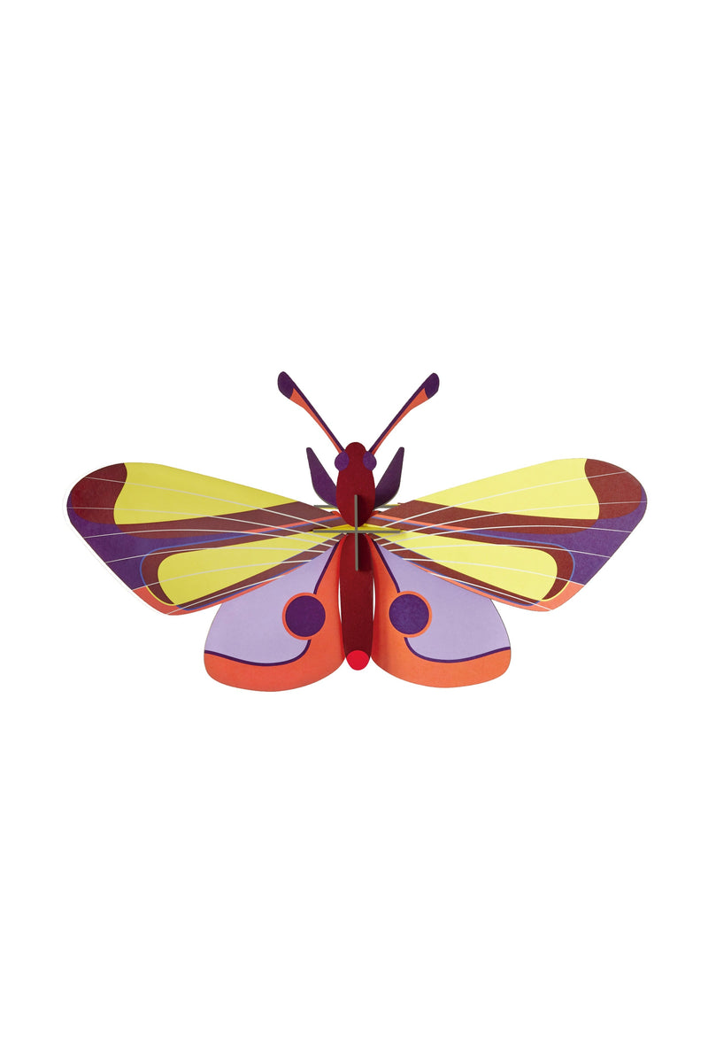 Purple Eyed Butterfly