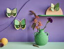 Fern Striped Butterflies - Set De 3