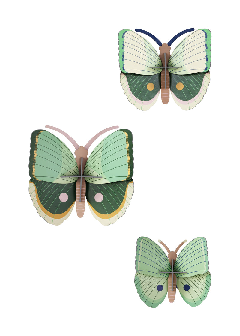 Fern Striped Butterflies - Set De 3