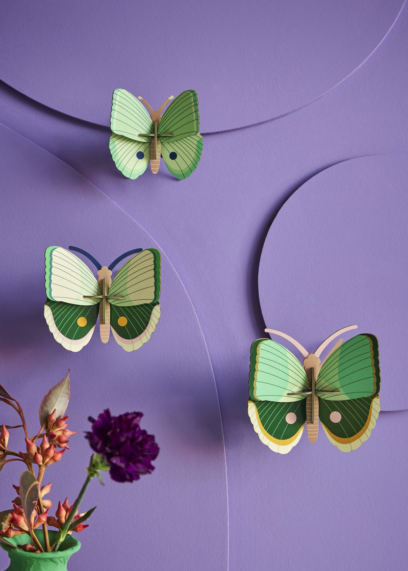 Fern Striped Butterflies - Set De 3