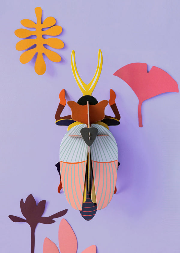 Scarabeo Rinoceronte