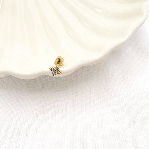 perforación del iris