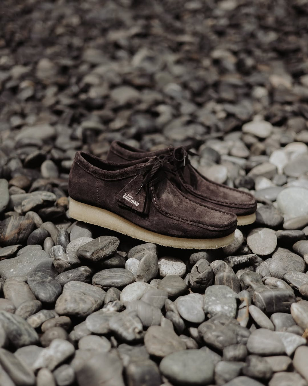 Wallabee - Brown Slate Suede - Femme
