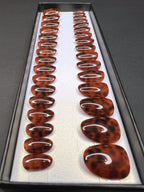 Lösnaglar - Tortoise Shell