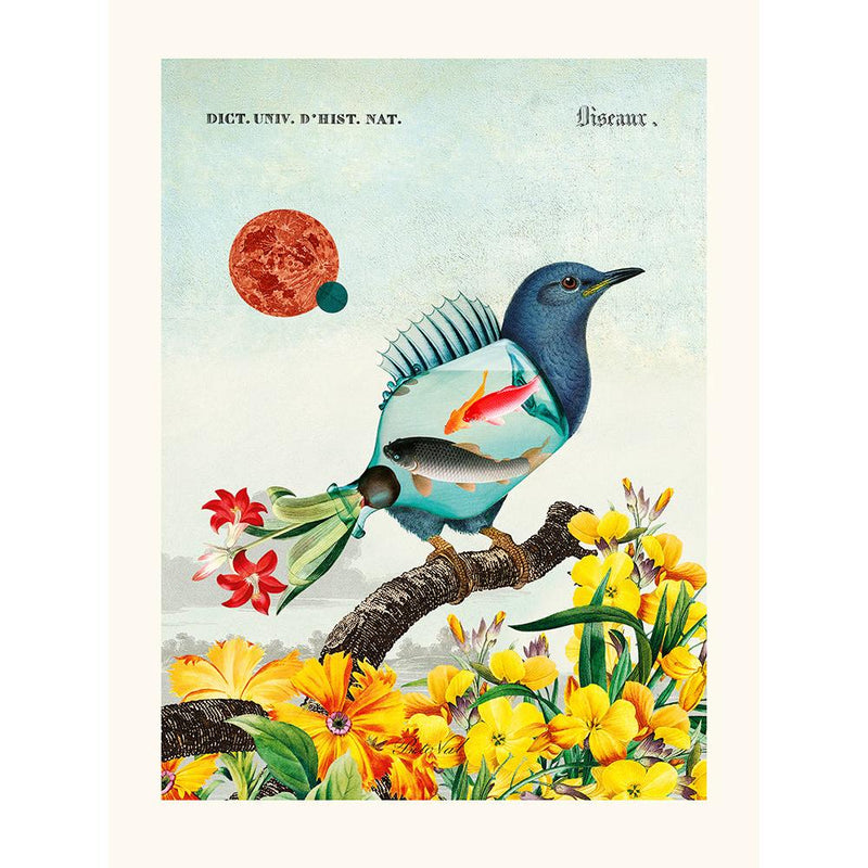 Image Alt Text