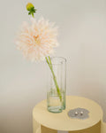 Tubu Vase - Transparent Glass
