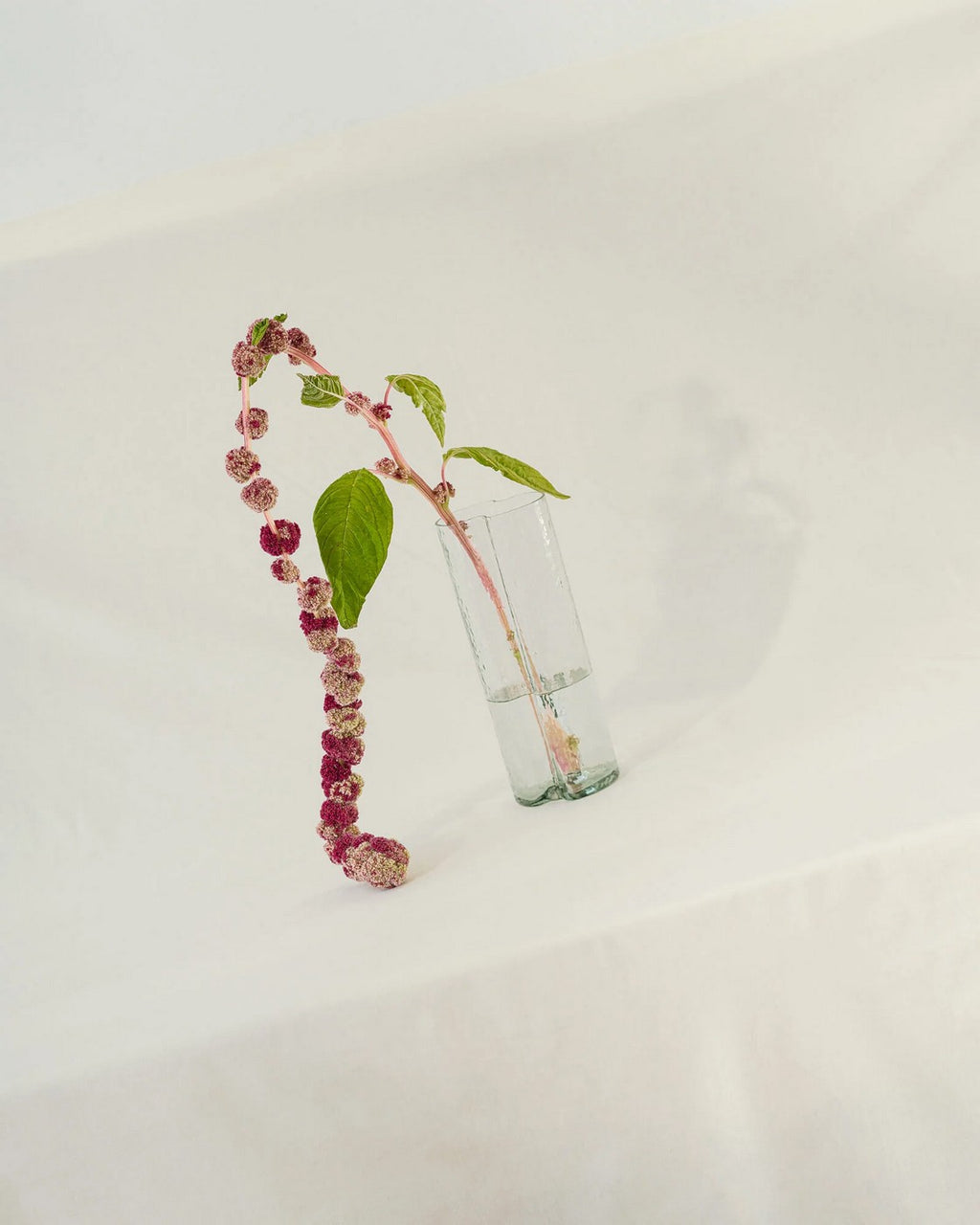 Tubu Vase - Transparent Glass