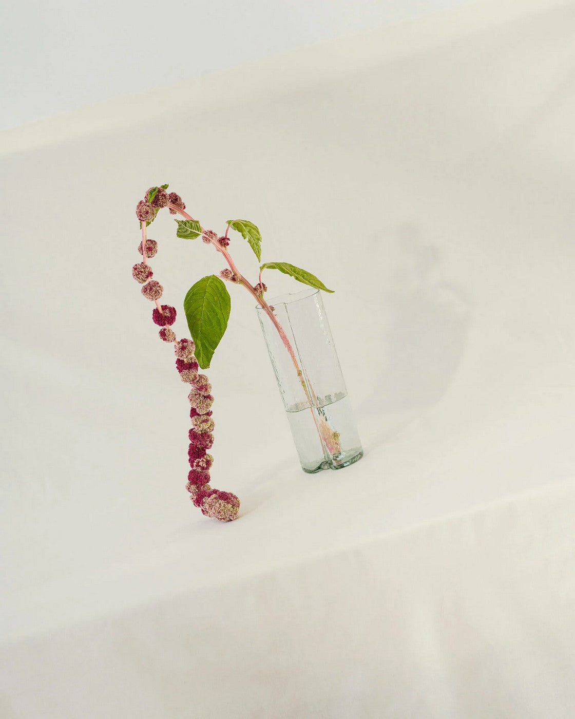 Tubu Vase - Transparent Glass