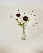 Tubu Vase - Transparent Glass