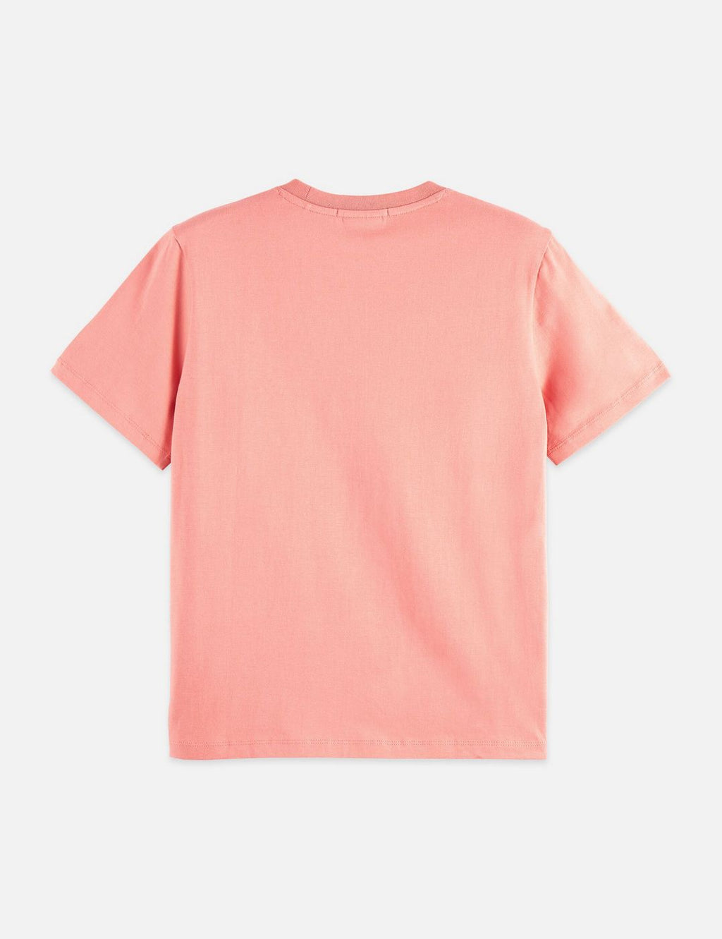 T-shirt Regular Fit With Chest Artwork - Canyon Clay
