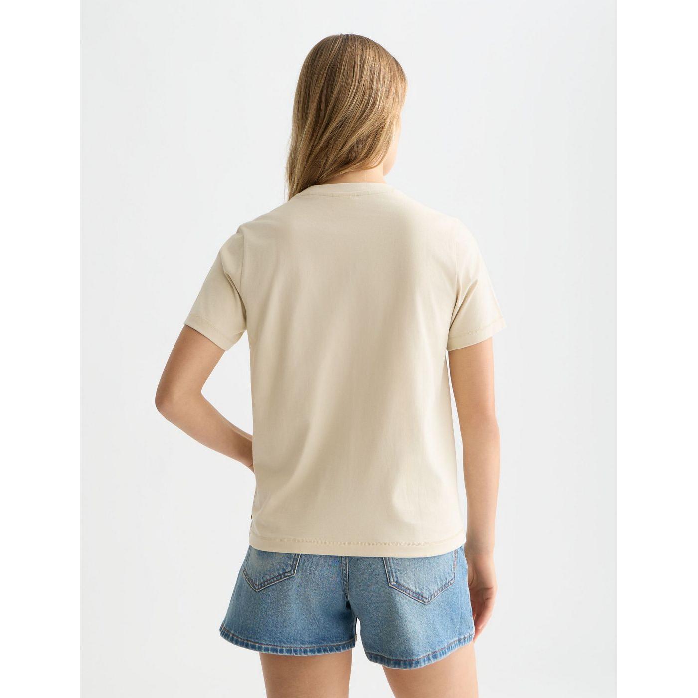 Camiseta Embroidered Artwork Regular-Fit - Fog