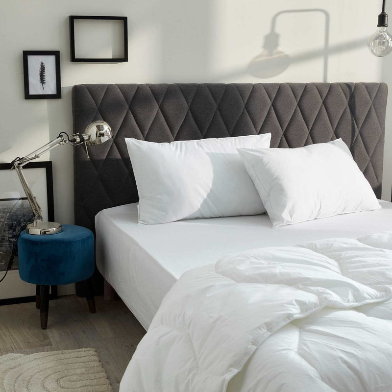 Lot De 2 Oreillers Gamme "Douceur" - Blanc