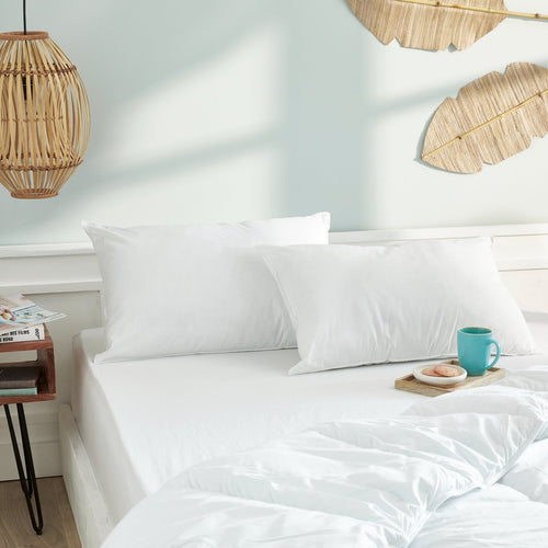 Lot De 2 Oreillers Gamme "Douceur" - Blanc