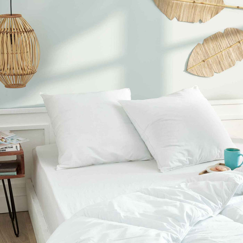 Lot De 2 Oreillers Gamme "Douceur" - Blanc