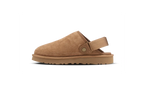 Goldencoast Clog Ii Chestnut - Noir
