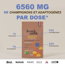 French Mush compléments alimentaires à base d'extraits de champignons médicinaux biologiques fabriqués en France Boisson Boost Bio · Chicorée - boisson - 120 doses