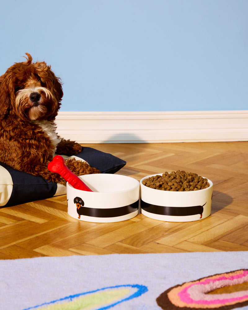 Gamelle Teckel (Fluid Market X Thomas Gravereau)