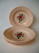 Lot De 6 Assiettes Creuses Digoin Sarreguemines Roses À Fleurs Roses - Années 50-60