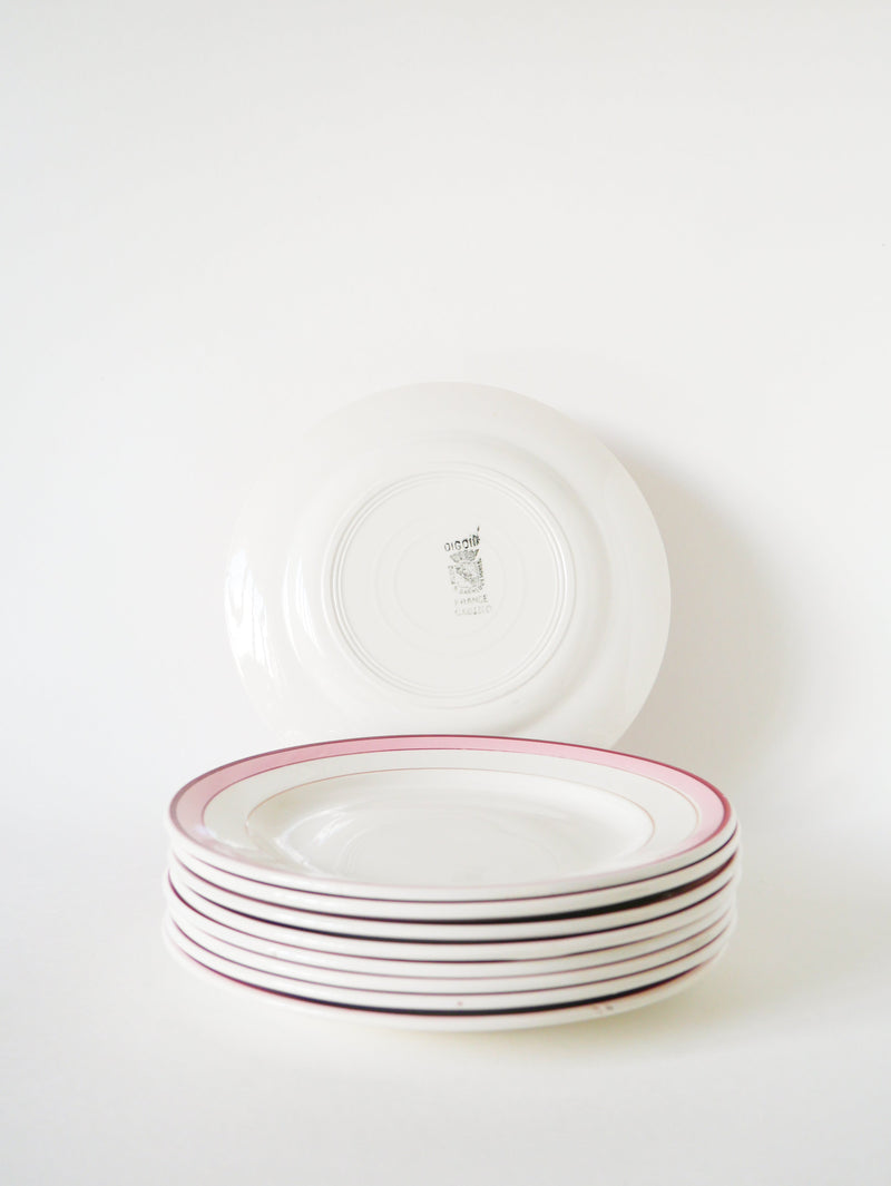 Lot De 9 Assiettes À Dessert Digoin - Modèle Lignes - Rose - 1960