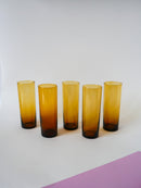 Lot De 5 Verres Ambrés Long Drink - 1970