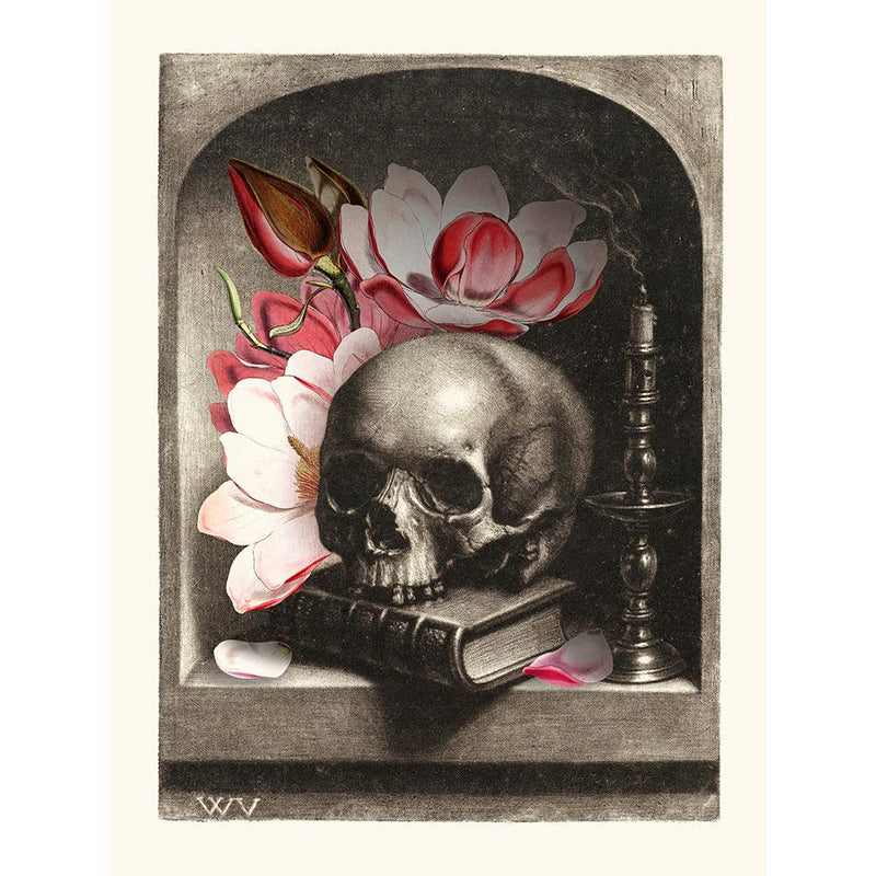 Sciences Naturelles - Vanité Magnolia