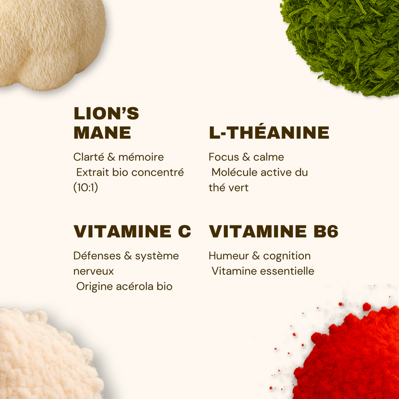 French Mush compléments alimentaires à base d'extraits de champignons médicinaux biologiques fabriqués en France Gummies Focus (VIP) - VIP -