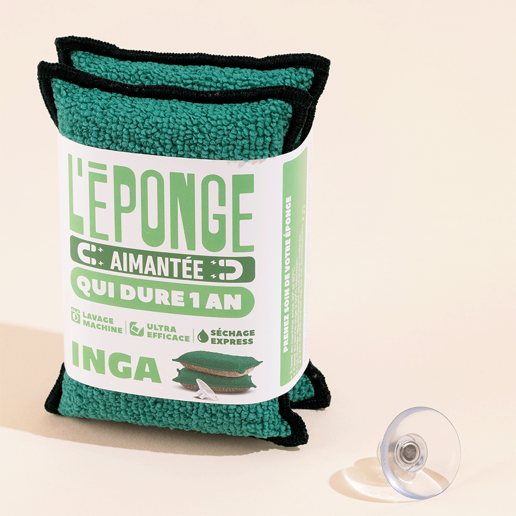Duo D'Éponges Aimantées