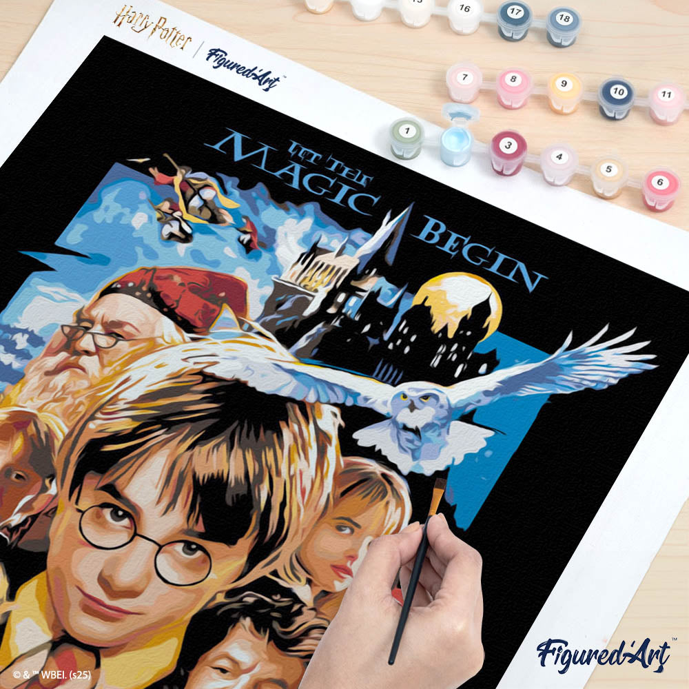 Peinture Par Numéros - Harry Potter À L'École Des Sorciers Affiche