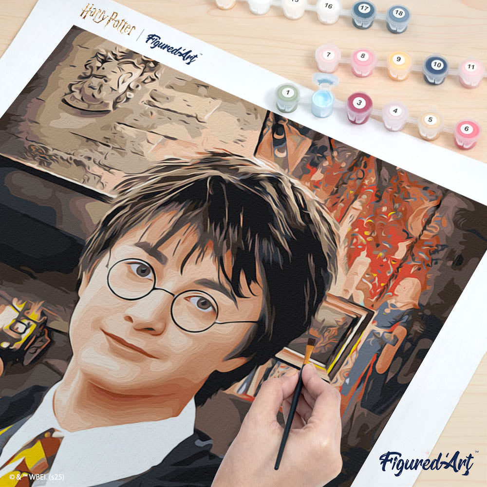 Peinture Par Numéros - Portrait De Harry Potter