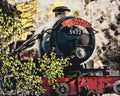 Peinture Par Numéros - Harry Potter - Poudlard Express