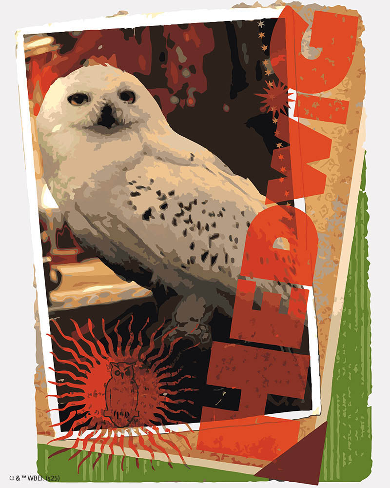 Peinture Par Numéros - Harry Potter - Carte Hedwige