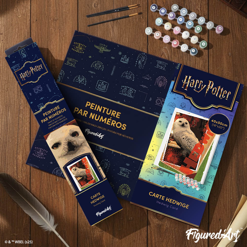 Peinture Par Numéros - Harry Potter - Carte Hedwige