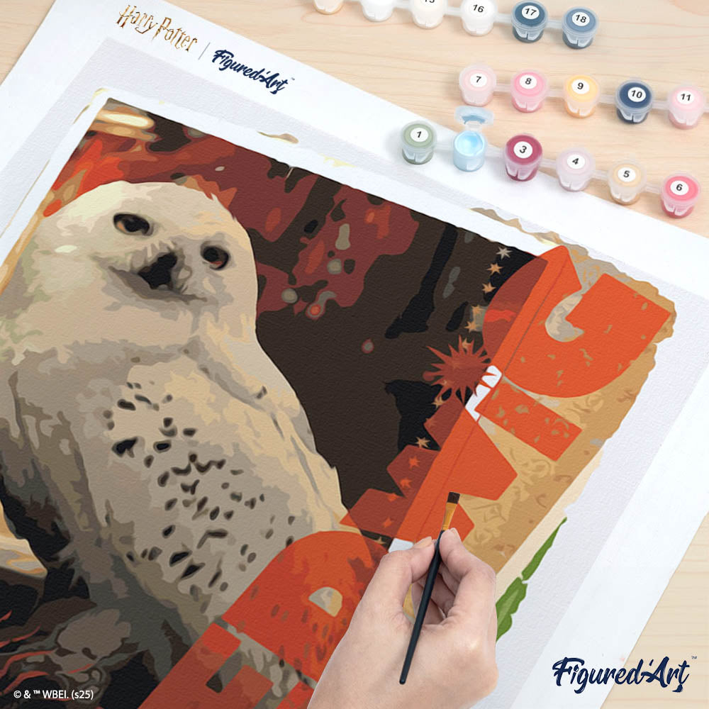 Peinture Par Numéros - Harry Potter - Carte Hedwige