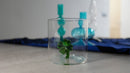 Gobelet En Verre Borosilicate - Figurine Quatre-Feuilles