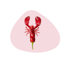 Pvc Placemat - Lobster Decoration