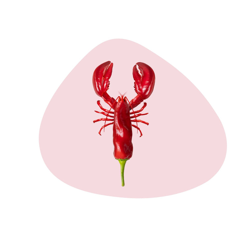Pvc Placemat - Lobster Decoration
