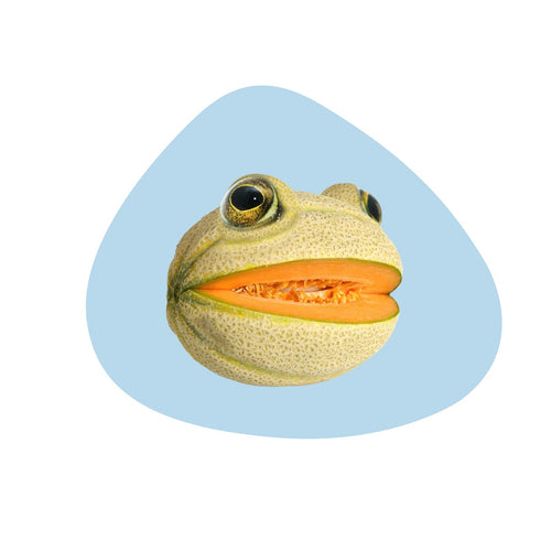 Set De Table En Pvc - Décoration Grenouille