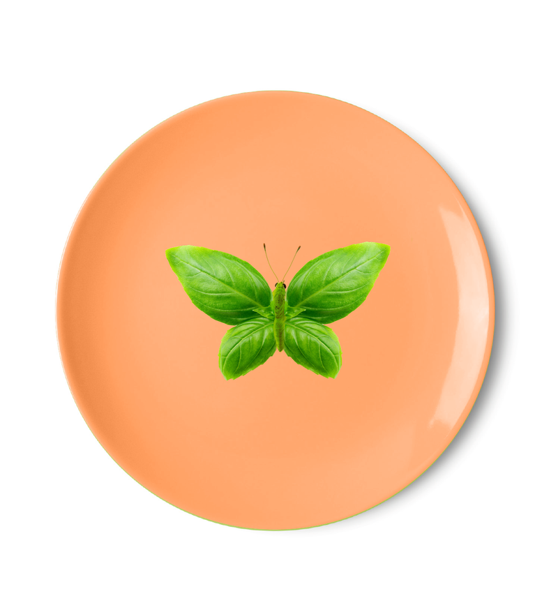 Lot De 4 Assiettes - Décor Papillon
