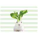 Mykonos - Lot De 2 Sets De Table Lapin - PVC