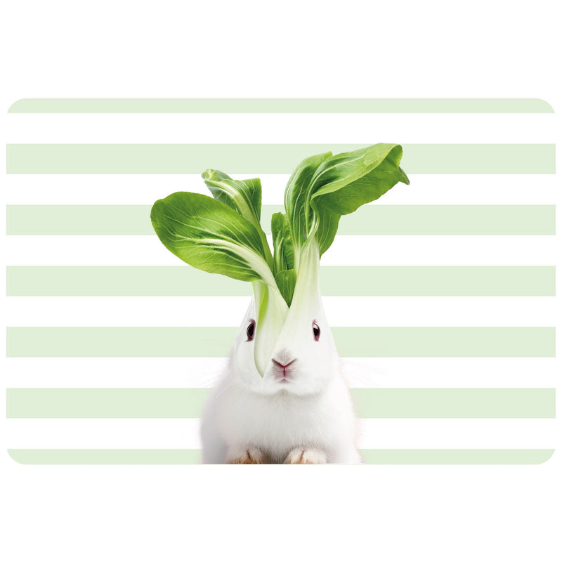 Mykonos - Lot De 2 Sets De Table Lapin - PVC