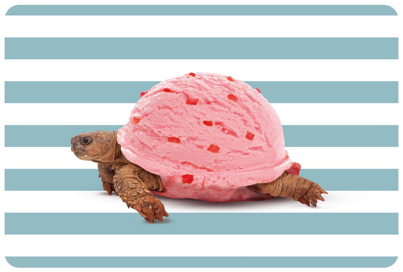 Mykonos - Lot De 2 Sets De Table Tortue - PVC