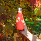 Botella Isotérmica de Acero Inoxidable - 26cl - Naranja