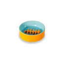 Gamelle Arête De Poisson - Orange Et Bleu Clair