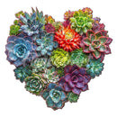 Puzzle En Bois Adulte - Cœur De Succulentes
