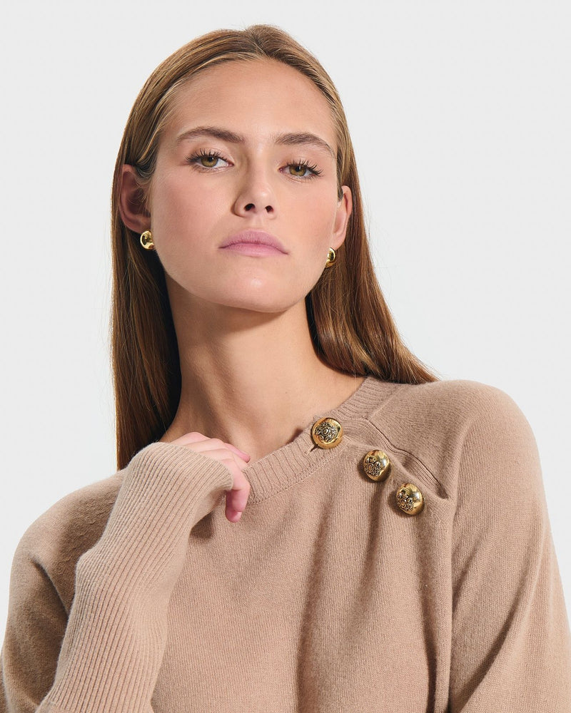Pull Noam camel_2