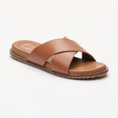 Mules Loutsian - Camel