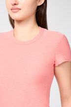 T-Shirt Col Rond Transparent Flammé - Flamant Rose - Femme